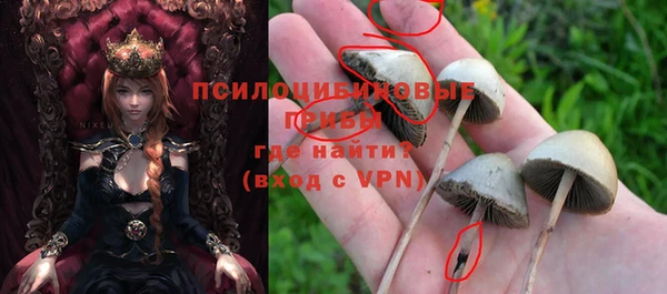 мет Балахна